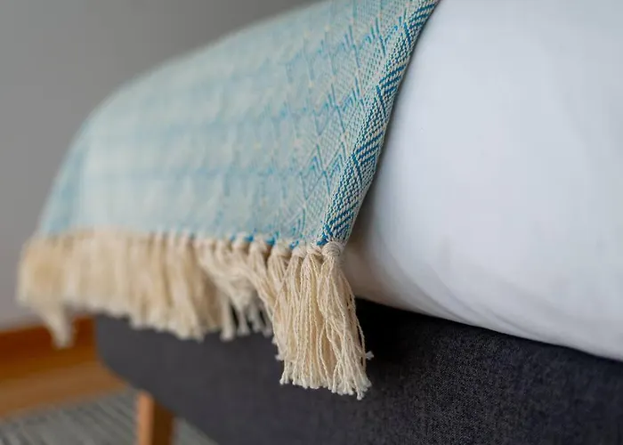 Caldas W/ Ac & Fast Net 公寓 卡尔达斯达·赖尼亚