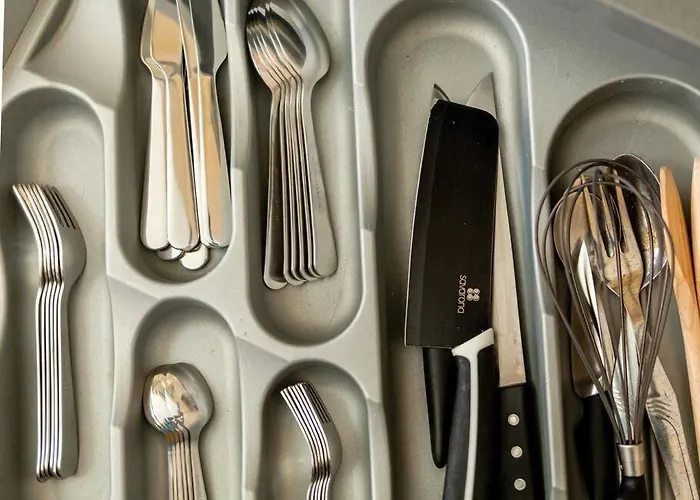 Caldas W/ Ac & Fast Net 公寓 卡尔达斯达·赖尼亚