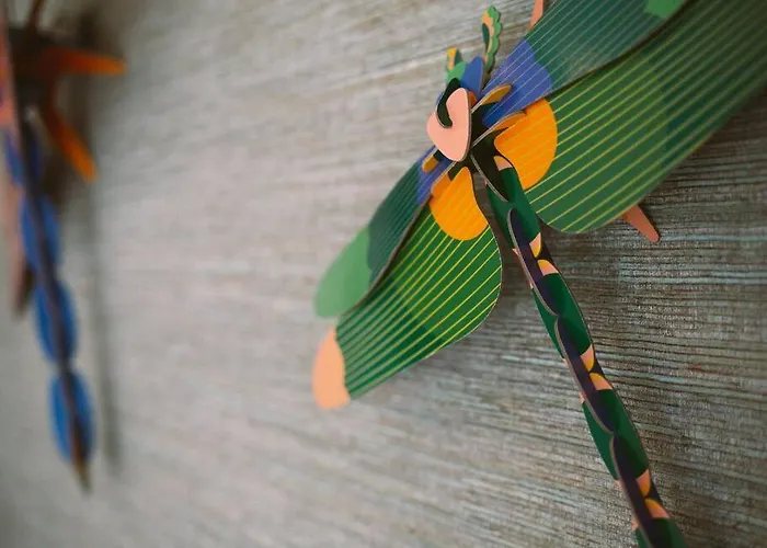 Caldas W/ Ac & Fast Net 公寓